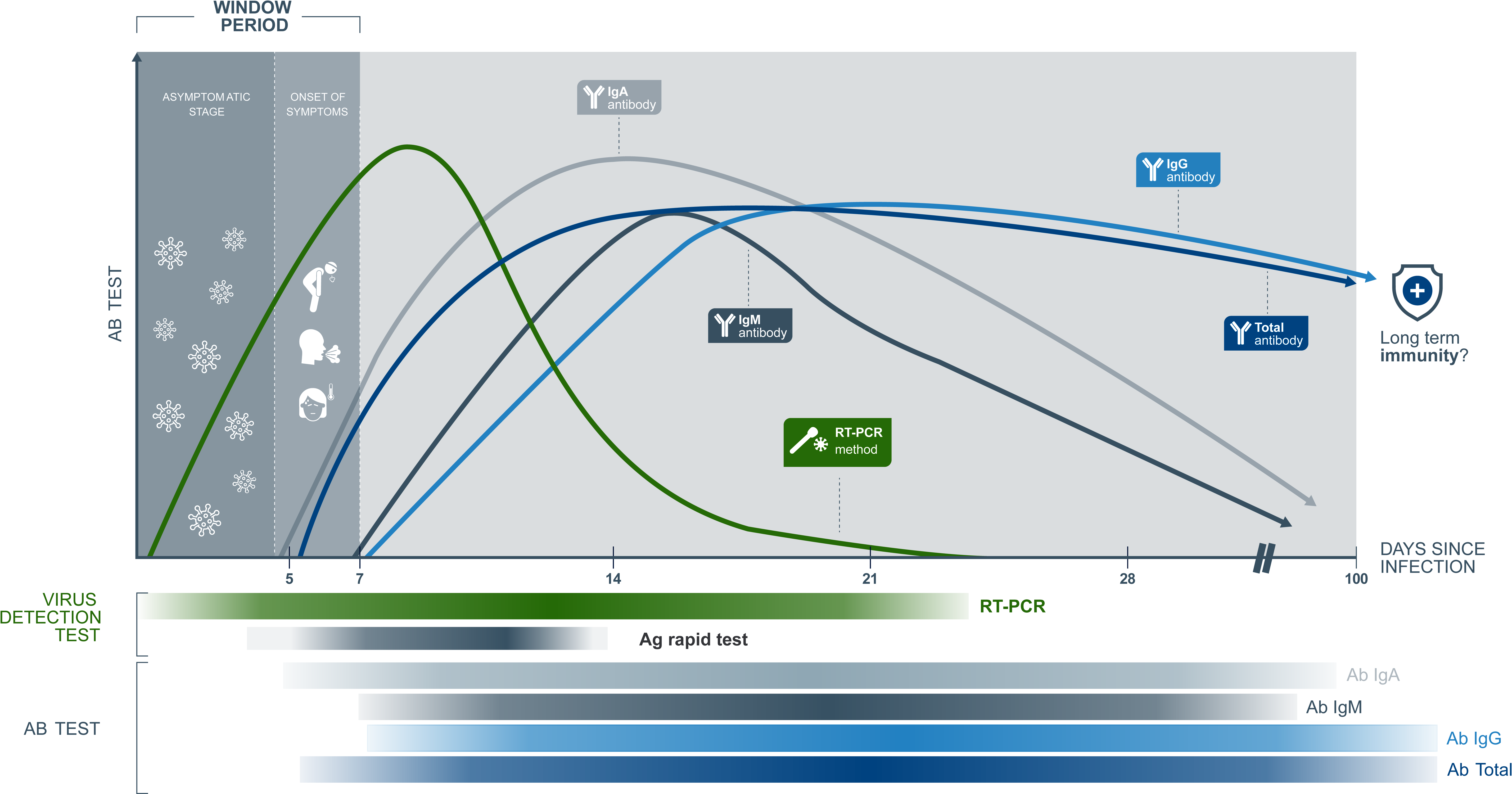 Tests timeline September